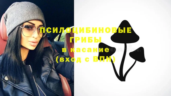 бутират Щигры