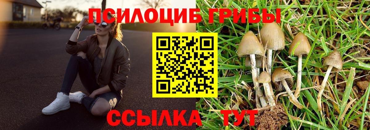 Галлюциногенные грибы GOLDEN TEACHER Хасавюрт