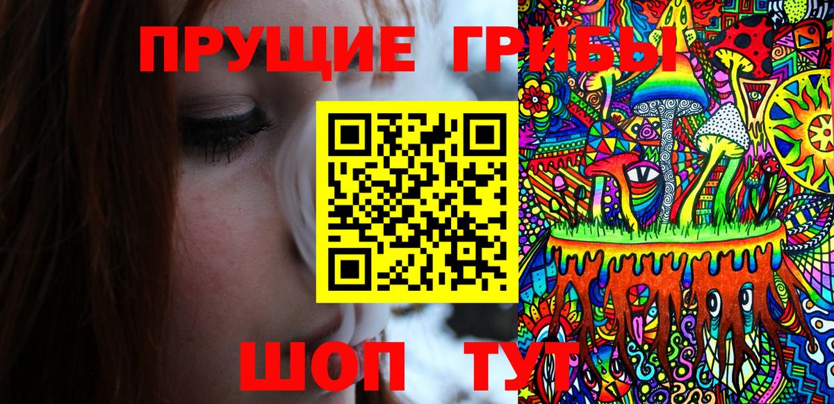 Хасавюрт  где купить наркоту  Вход с VPN  Псилоцибиновые грибы Magic Shrooms 